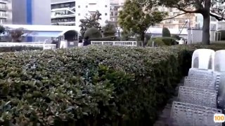 91精品蜜臀国产综合久久久久久